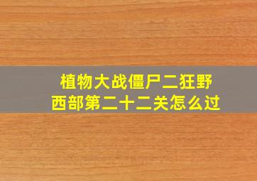 植物大战僵尸二狂野西部第二十二关怎么过