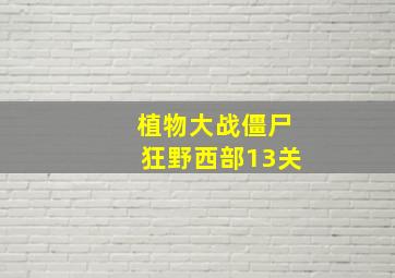 植物大战僵尸狂野西部13关