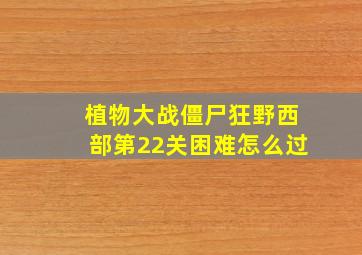 植物大战僵尸狂野西部第22关困难怎么过