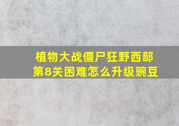 植物大战僵尸狂野西部第8关困难怎么升级豌豆