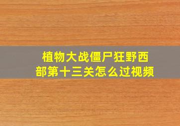 植物大战僵尸狂野西部第十三关怎么过视频