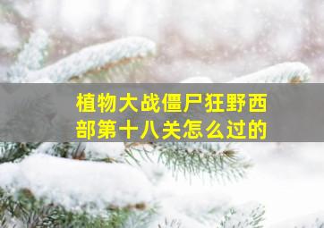 植物大战僵尸狂野西部第十八关怎么过的