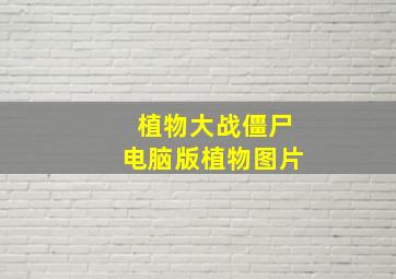 植物大战僵尸电脑版植物图片