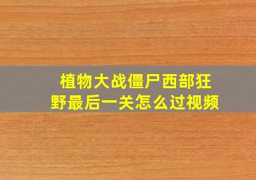 植物大战僵尸西部狂野最后一关怎么过视频