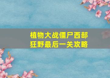 植物大战僵尸西部狂野最后一关攻略