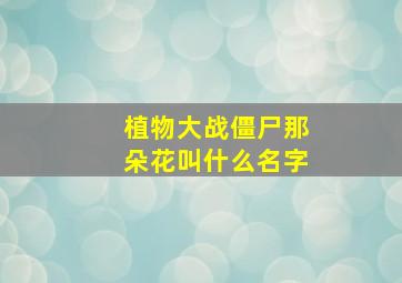 植物大战僵尸那朵花叫什么名字