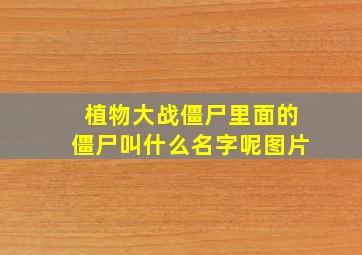 植物大战僵尸里面的僵尸叫什么名字呢图片