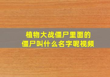 植物大战僵尸里面的僵尸叫什么名字呢视频