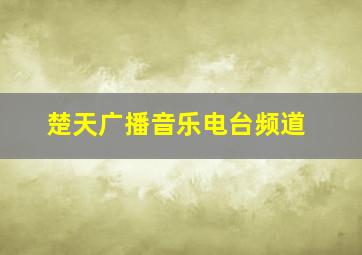 楚天广播音乐电台频道