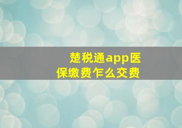 楚税通app医保缴费乍么交费