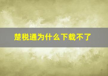 楚税通为什么下载不了