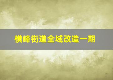 横峰街道全域改造一期