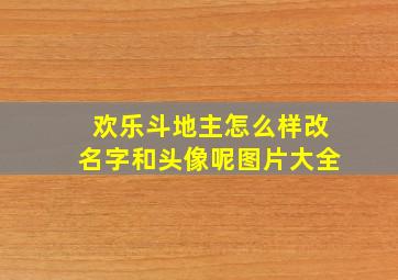 欢乐斗地主怎么样改名字和头像呢图片大全