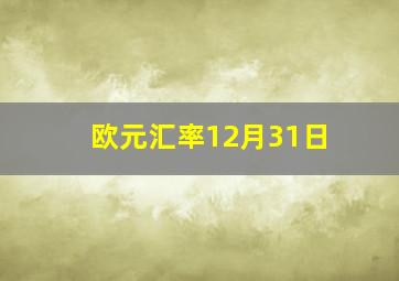 欧元汇率12月31日