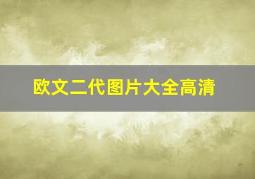 欧文二代图片大全高清