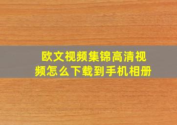 欧文视频集锦高清视频怎么下载到手机相册