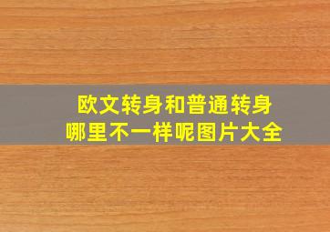 欧文转身和普通转身哪里不一样呢图片大全