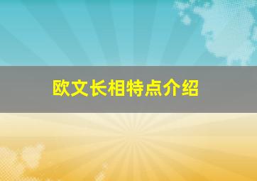 欧文长相特点介绍