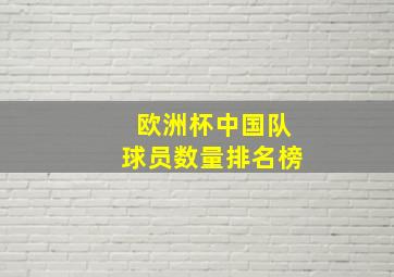 欧洲杯中国队球员数量排名榜