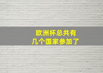 欧洲杯总共有几个国家参加了