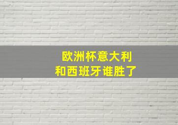 欧洲杯意大利和西班牙谁胜了