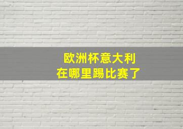 欧洲杯意大利在哪里踢比赛了