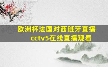 欧洲杯法国对西班牙直播cctv5在线直播观看