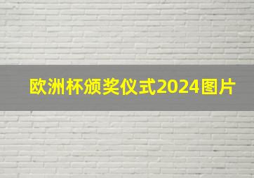 欧洲杯颁奖仪式2024图片