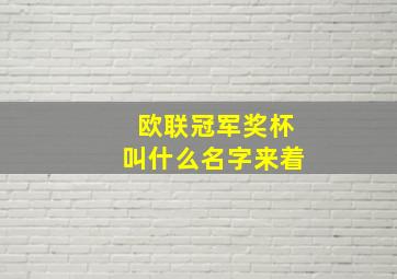 欧联冠军奖杯叫什么名字来着