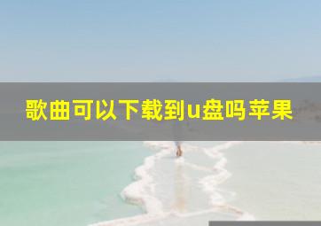 歌曲可以下载到u盘吗苹果