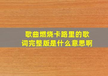 歌曲燃烧卡路里的歌词完整版是什么意思啊