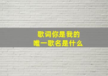 歌词你是我的唯一歌名是什么