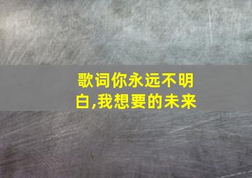 歌词你永远不明白,我想要的未来