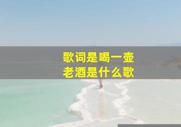 歌词是喝一壶老酒是什么歌