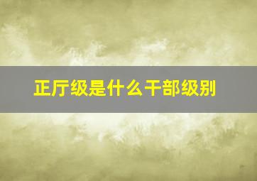 正厅级是什么干部级别