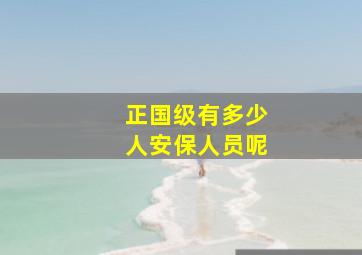 正国级有多少人安保人员呢