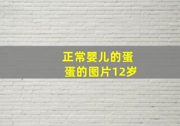 正常婴儿的蛋蛋的图片12岁