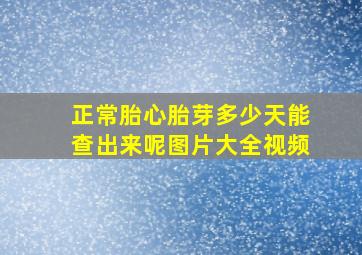 正常胎心胎芽多少天能查出来呢图片大全视频