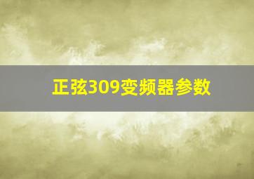 正弦309变频器参数