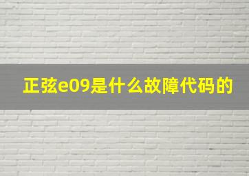 正弦e09是什么故障代码的