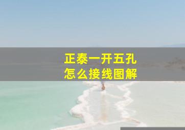 正泰一开五孔怎么接线图解