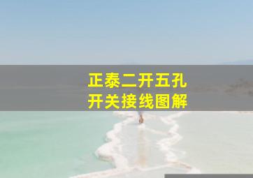 正泰二开五孔开关接线图解