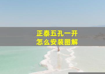 正泰五孔一开怎么安装图解