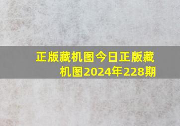 正版藏机图今日正版藏机图2024年228期