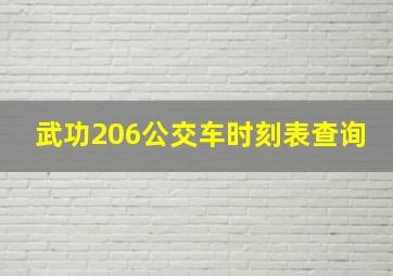 武功206公交车时刻表查询