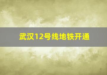 武汉12号线地铁开通