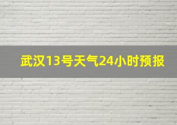 武汉13号天气24小时预报