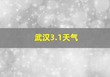 武汉3.1天气