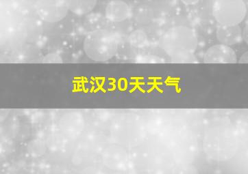 武汉30天天气