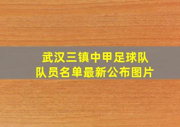 武汉三镇中甲足球队队员名单最新公布图片